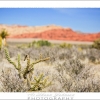 More From Red Rock